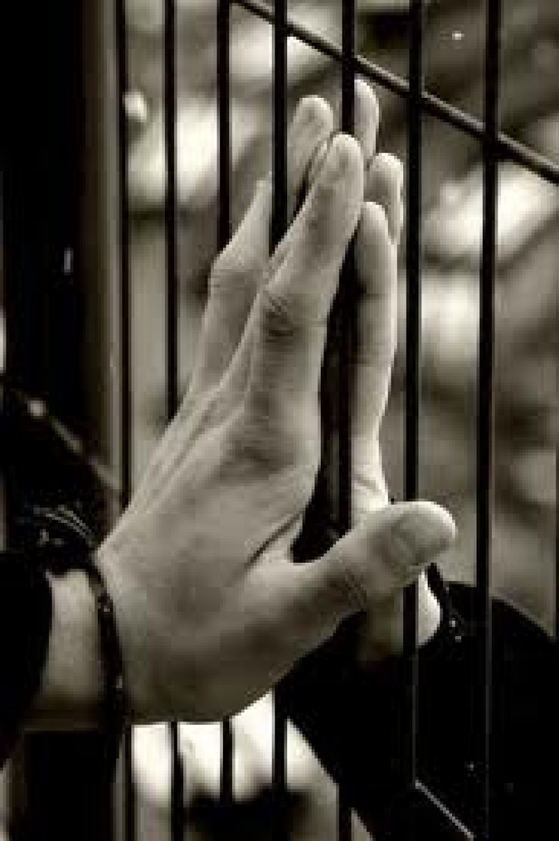 video-planul-de-inrobire-a-lumii-scenariu-desprins-din-ferma-orwelliana-banul-vandut-peste-hota-Xw7MIq.jpg?width=500