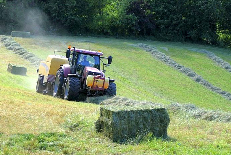 12760 cereri unice de plată pentru subvențiile din agricultură pe 2021 primite la APIA Botoșani