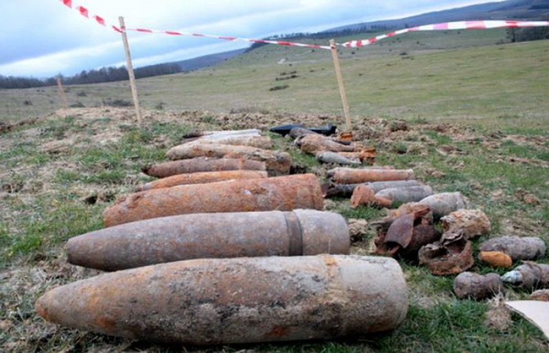 128 de elemente de munitie, descoperite in judetul Botosani!