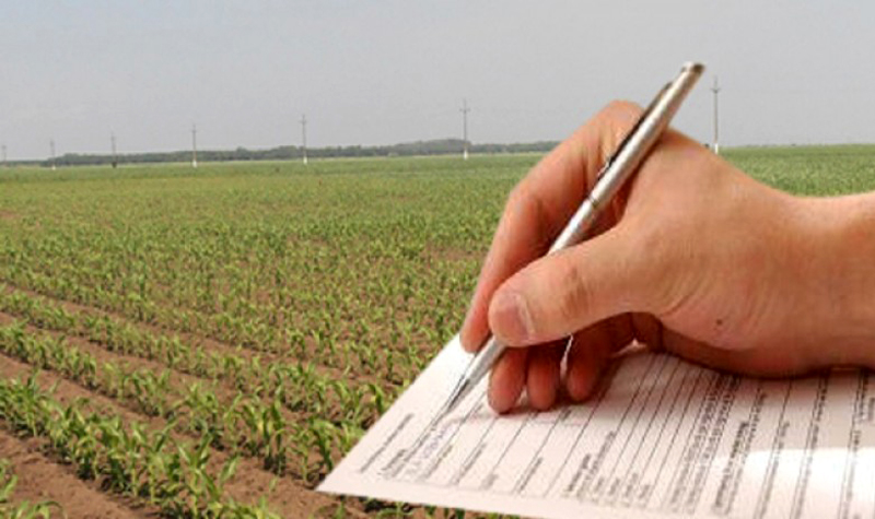 5647 cereri unice de plată pentru acordarea de subvenții în agricultură au fost depuse până acum la Botoșani