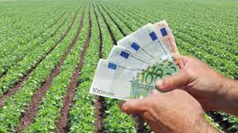 Administratorul unei firme din Botoșani a obținut fonduri europene în mod fraudulos și subvenții agricole de peste 3 milioane de lei!