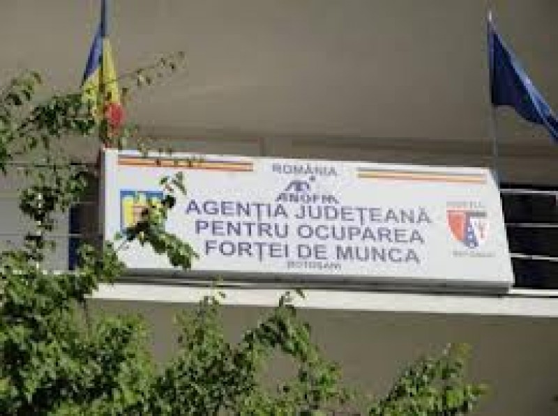 AJOFM acordă sprijin financiar pentru angajatorii care încheie un contract de stagiu cu absolvenţii de învăţământ superior!