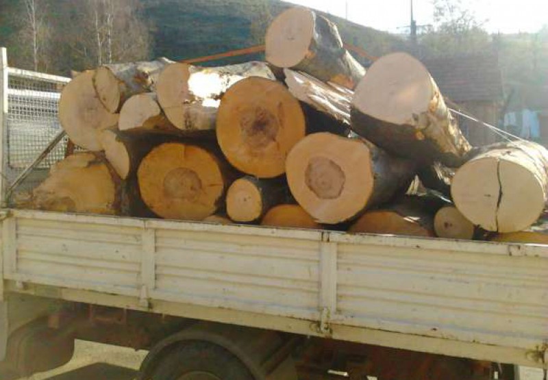 Amendă de 2.000 de lei pentru un bărbat care transporta lemne. Materialul a fost confiscat