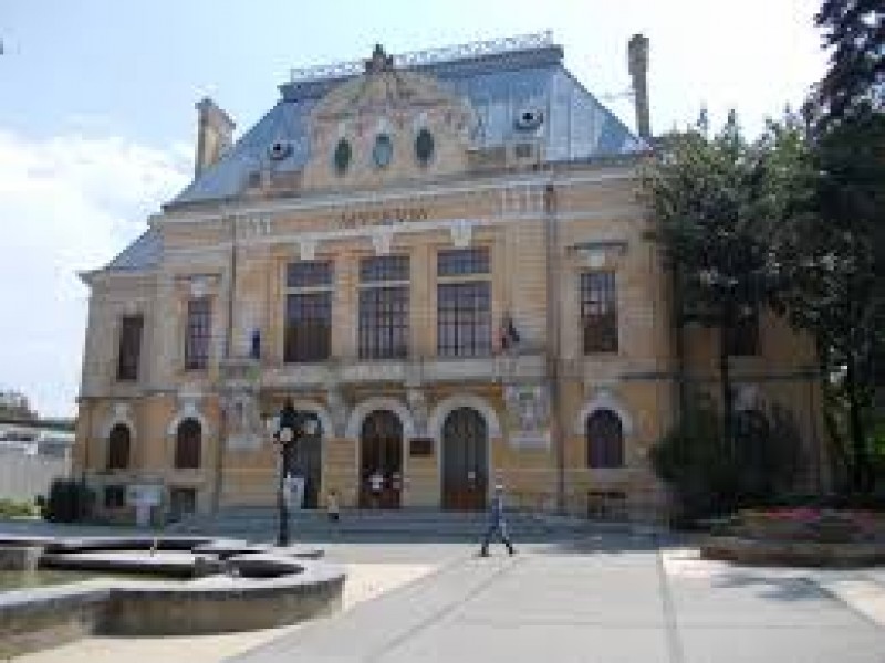 Angajări la Muzeul Județean Botoșani
