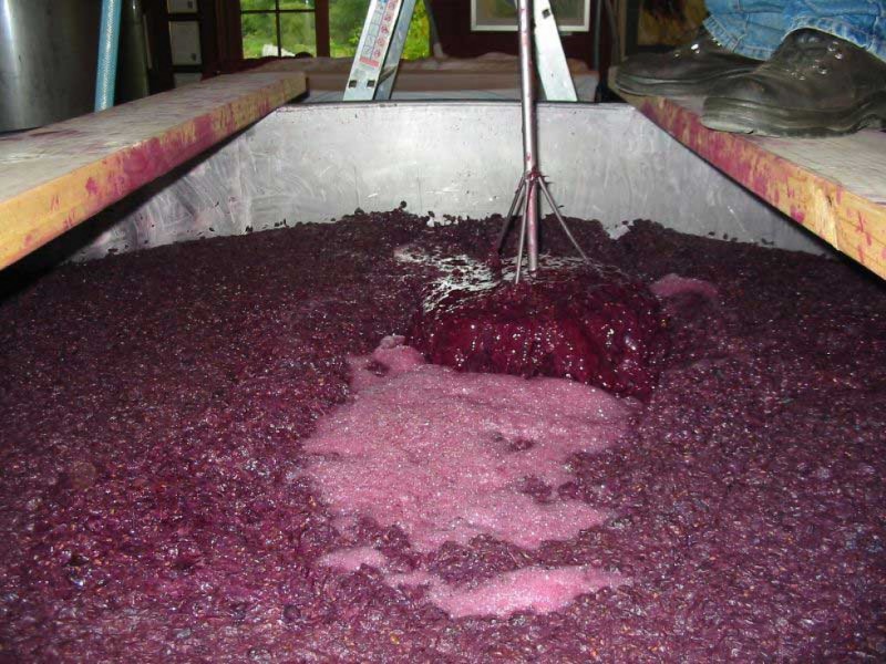 ATENȚIE! Vinul pus la fermentat poate ucide!