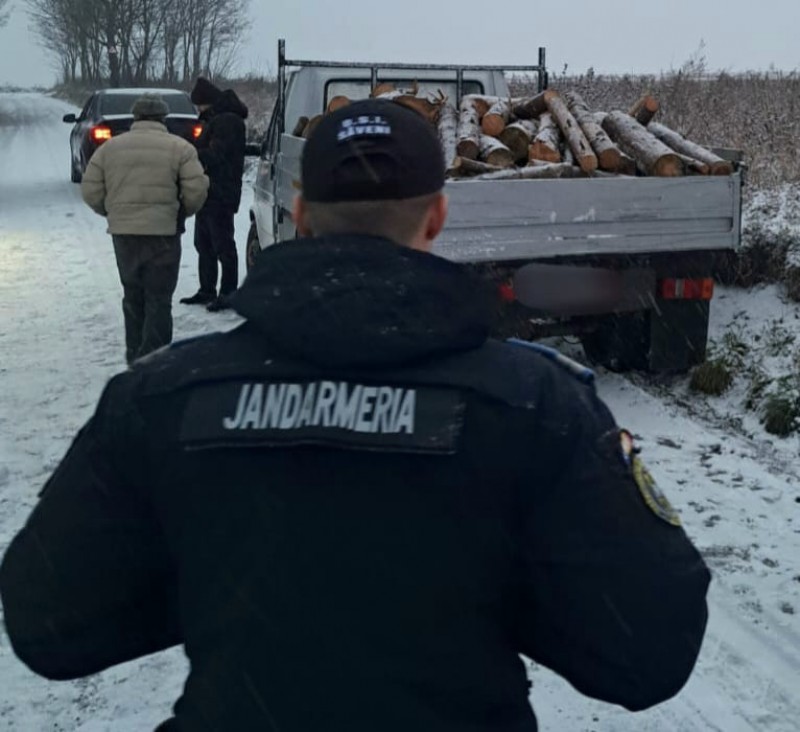 Bărbat amendat de jandarmi cu 1000 de lei pentru transport ilegal de lemne