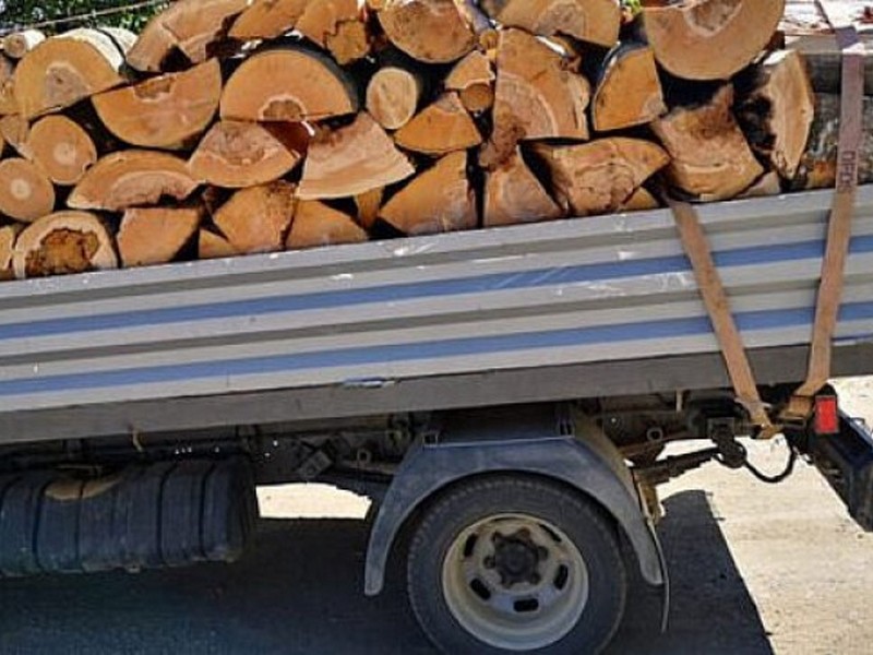 Bărbat lăsat fără lemne, pentru că nu avea documentele specifice transportului de material lemnos