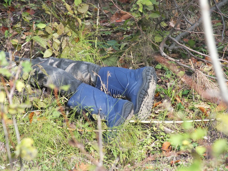 Bătrânul dispărut în pădurea Vorona, în urmă cu o lună, a fost găsit decedat