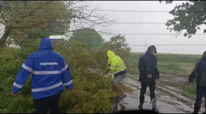 Circulație blocată pe un drum din județ, din cauza unui copac rupt de furtună (video)