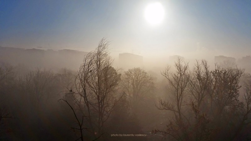 Cod galben de ceaţă densă în judeţele Vaslui, Botoşani şi Iaşi, luni dimineaţă