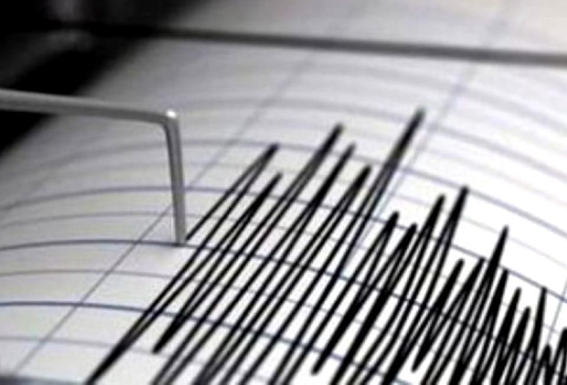 Cutremur cu magnitudinea de 4,1 grade pe scara Richter în această seară în zona Vrancea