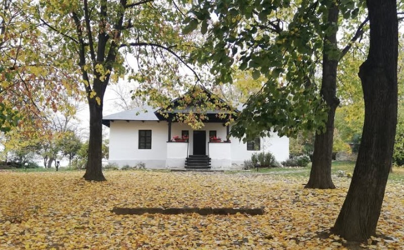 Doi regizori vin la Ipotești și organizează ateliere pentru adolescenții din Botoșani!