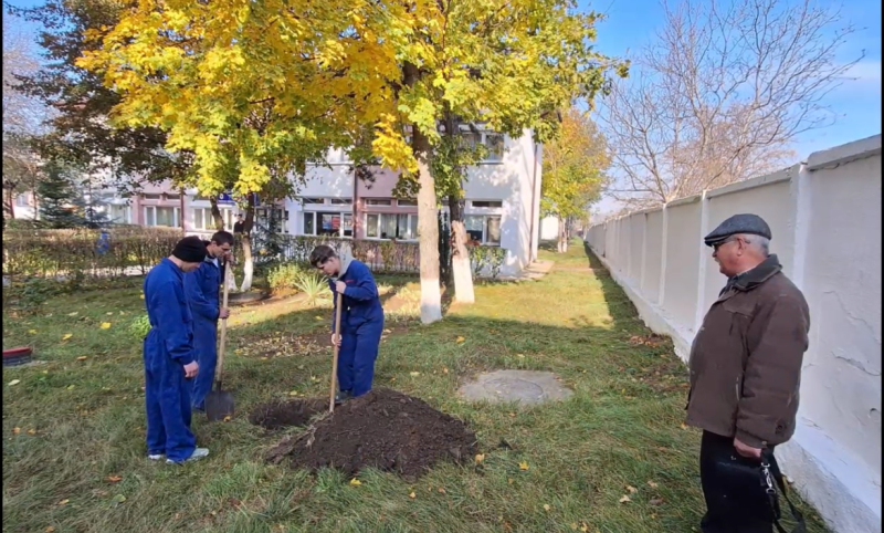 Elevii unei școli din Dorohoi au „plantat speranță în pământ și culoare pe hârtie”! (Video)