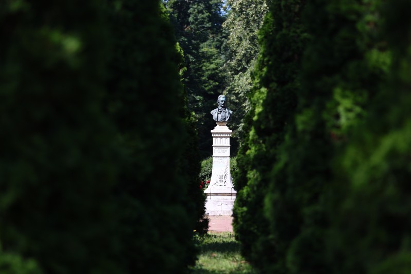 Eminescu și Focul cel Mare de la Botoșani. ”Cea mai mare nenorocire; totul scosesem din casă, numai patul nenorocitului meu frate rămăsese...”