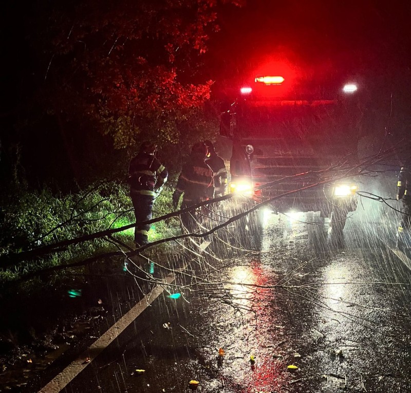 Furtună puternică și ploi în Botoșani: Stâlpi de telefonie și copaci la pământ, fire electrice rupte de vânt! (Foto, Video)