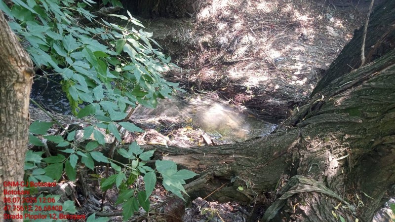 Grav incident de mediu la Botoșani, sesizări la Garda de Mediu pentru poluarea unui pârâu! (Foto)