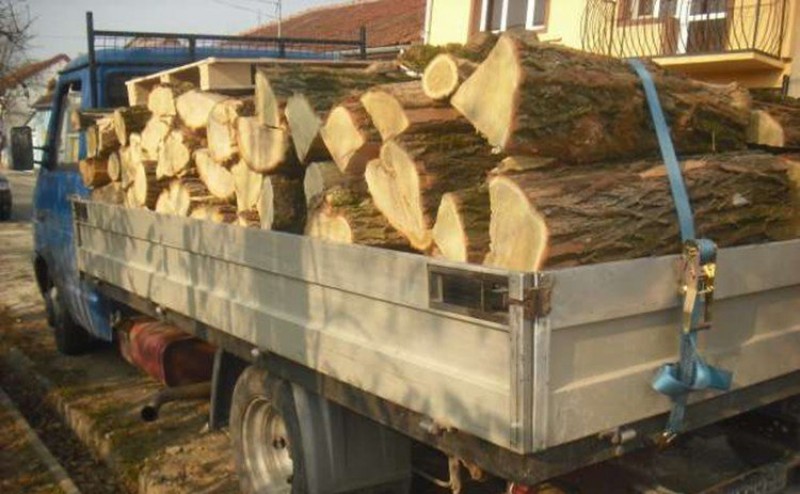 Guvernul va discuta despre ordonanţa privind plafonarea preţului pentru lemnul de foc