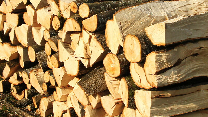 În premieră: Direcţia Silvică Botoșani aduce lemne de foc din Neamţ şi Bacău, pentru a onora solicitările populaţiei