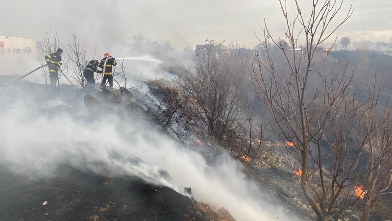 Incendiu de proporții la marginea orașului. Zece hectare de vegetație au fost cuprinse de flăcări