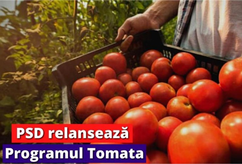 Lucian Trufin: „Relansarea Programului Tomata - Sprijin concret și predictibilitate pentru legumicultorii botoșăneni!”