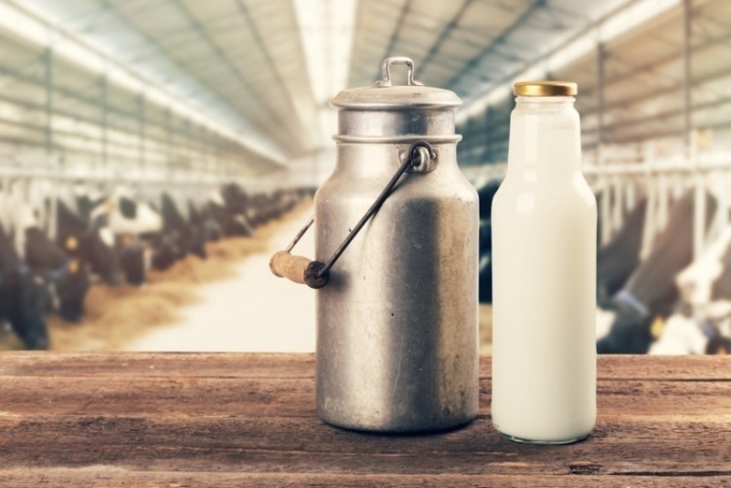 Ministerul Agriculturii a elaborat proiectul de hotărâre pentru înfiinţarea Observatorului laptelui şi al produselor lactate