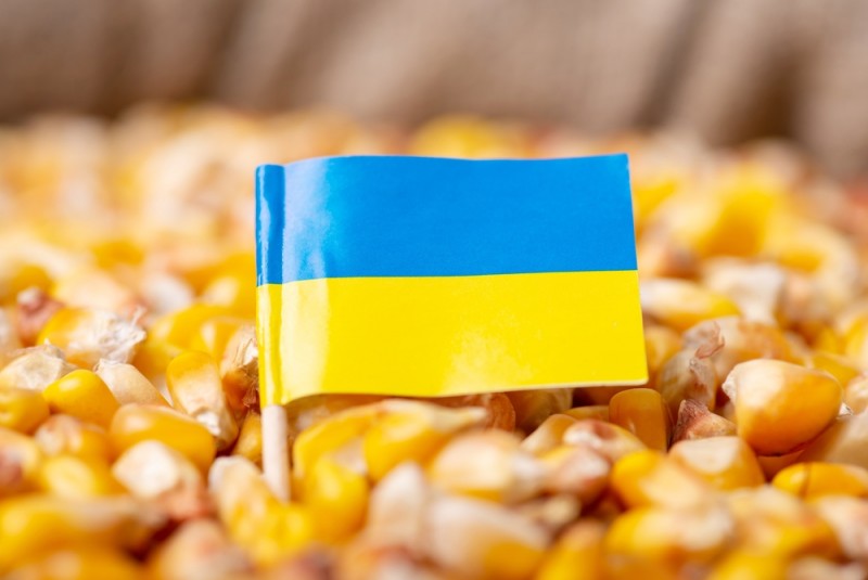 România va obţine cea mai mică sumă de la UE pentru compensarea agricultorilor afectaţi de importul de cereale din Ucraina