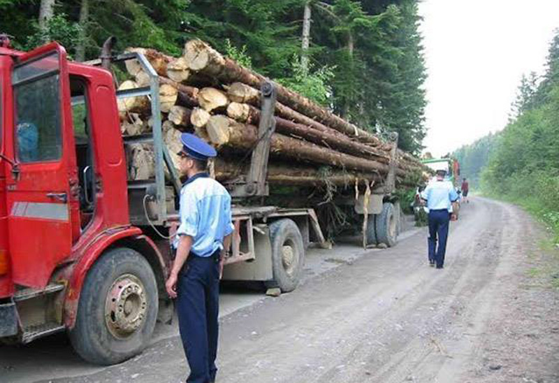 Suspiciunile cu privire la transporturile de lemne pot fi sesizate de acum de cetățeni și la 112