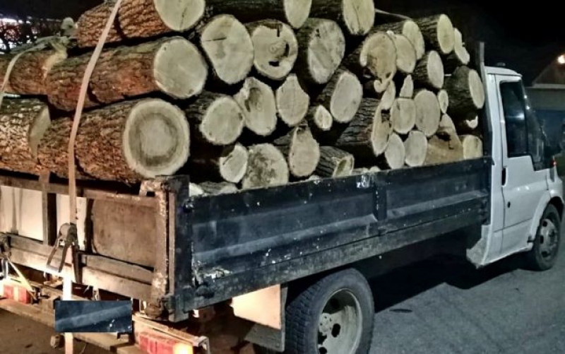 Tot mai multe transporturi de material lemnos, fără documente legale, în județ
