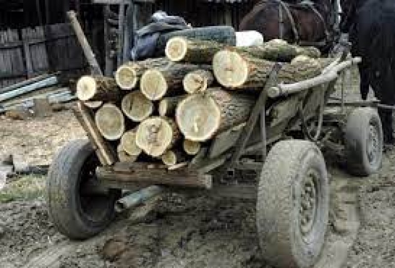 Un bărbat care transporta lemne cu căruța, în mod ilegal, este cercetat penal de polițiștii botoșăneni