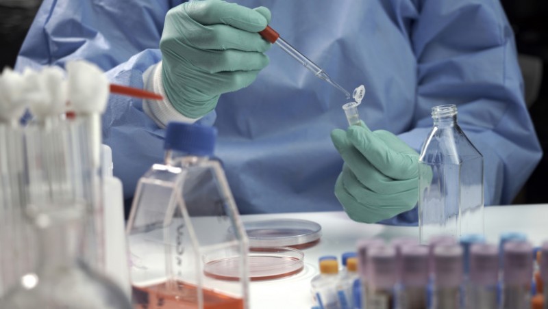 Un medic din Suceava a anunțat prima suspiciune de variolă în România. Ministerul Sănătății infirmă posibilitatea