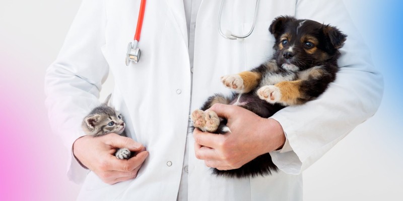 VIDEO - Importanța analizelor de sânge pentru animalele de companie. Medic veterinar: ”Voi fi întotdeauna o adeptă a prevenției!”