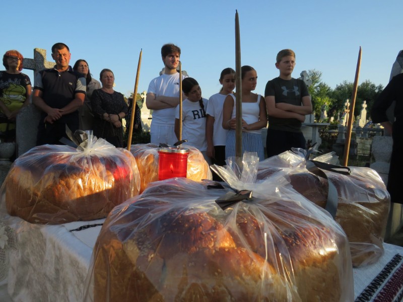 VIDEO - Istorici și arheologi chemați la Botoșani să caute rămășițele pământești ale partizanului împușcat de comuniști în penitenciar!