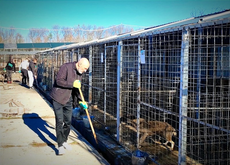 Zece deținuți au igienizat Adăpostul de câini din Botoșani. ”Au simțit bucuria de a face gesturi dincolo de propria persoană!”