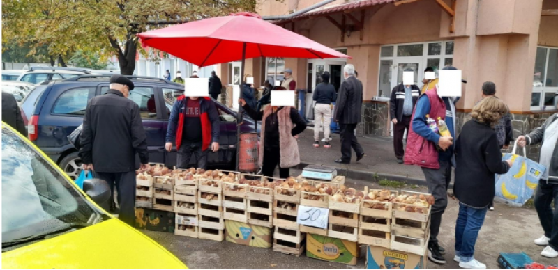 Zeci de amenzi aplicate de polițiștii locali celor de vindeau ciuperci și struguri pe strada Armeană
