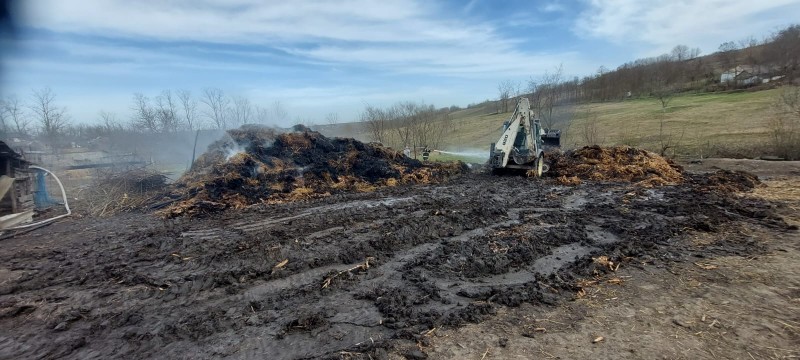 Zeci de tone de furaje și 10 hectare de vegetație, mistuite de flăcări (fotogalerie)