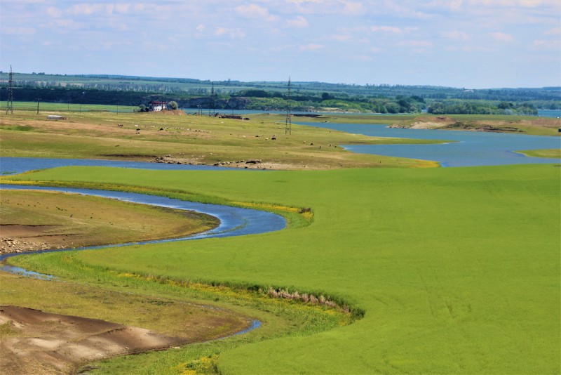 Ziua Internațională a Biodiversității, 10% din teritoriul județului Botoșani reprezintă arii naturale protejate! (Foto)